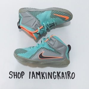 Nike Lebron 12s